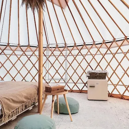 Glamping Spiritul Zimbrului Hotel Vama Buzăului Exterior photo