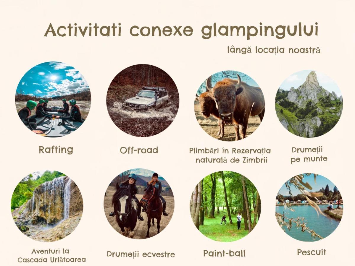 Glamping Spiritul Zimbrului 3* Vama Buzăului