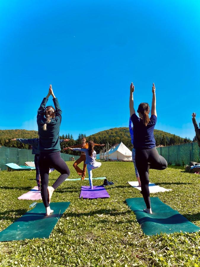 Glamping Spiritul Zimbrului Tente de luxe Vama Buzăului