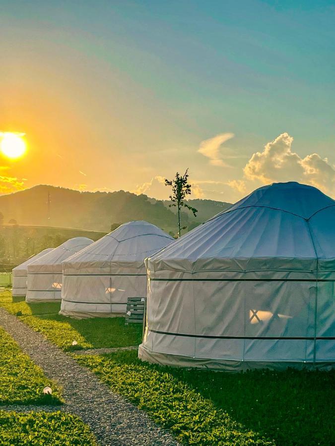 Glamping Spiritul Zimbrului Tente de luxe Vama Buzăului