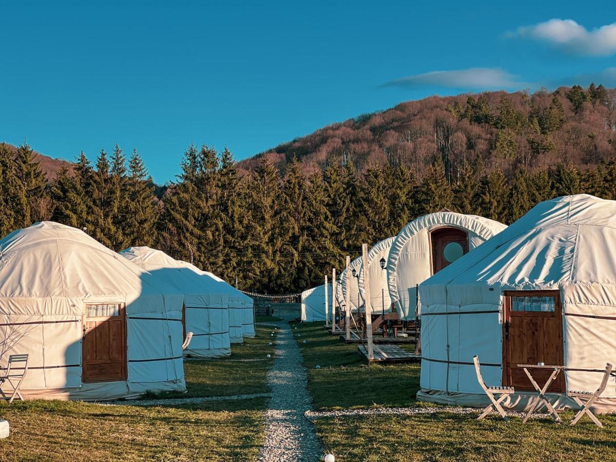 Glamping Spiritul Zimbrului 3* Vama Buzaului