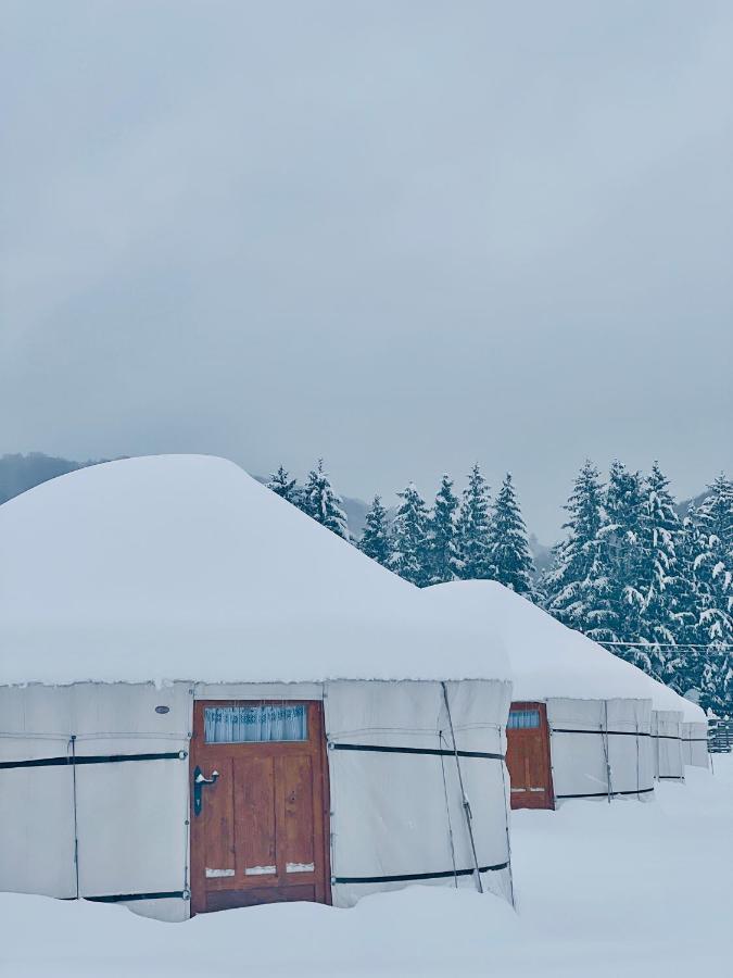 Glamping Spiritul Zimbrului Tente de luxe 3*