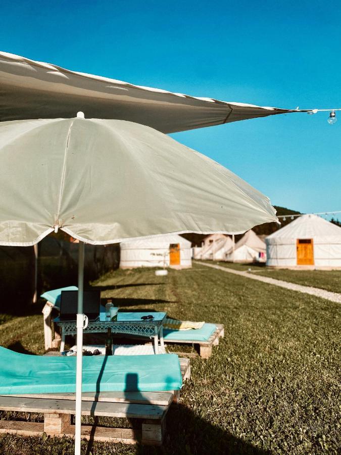 Glamping Spiritul Zimbrului 3* Vama Buzăului