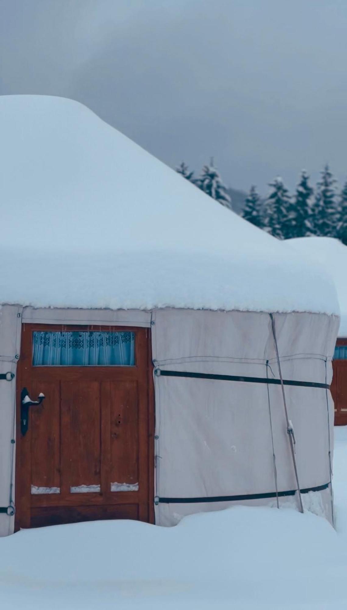 Glamping Spiritul Zimbrului Luxury tent Vama Buzaului