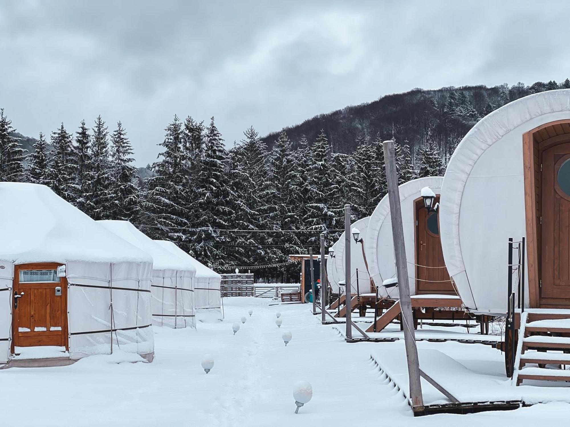 Glamping Spiritul Zimbrului Vama Buzăului