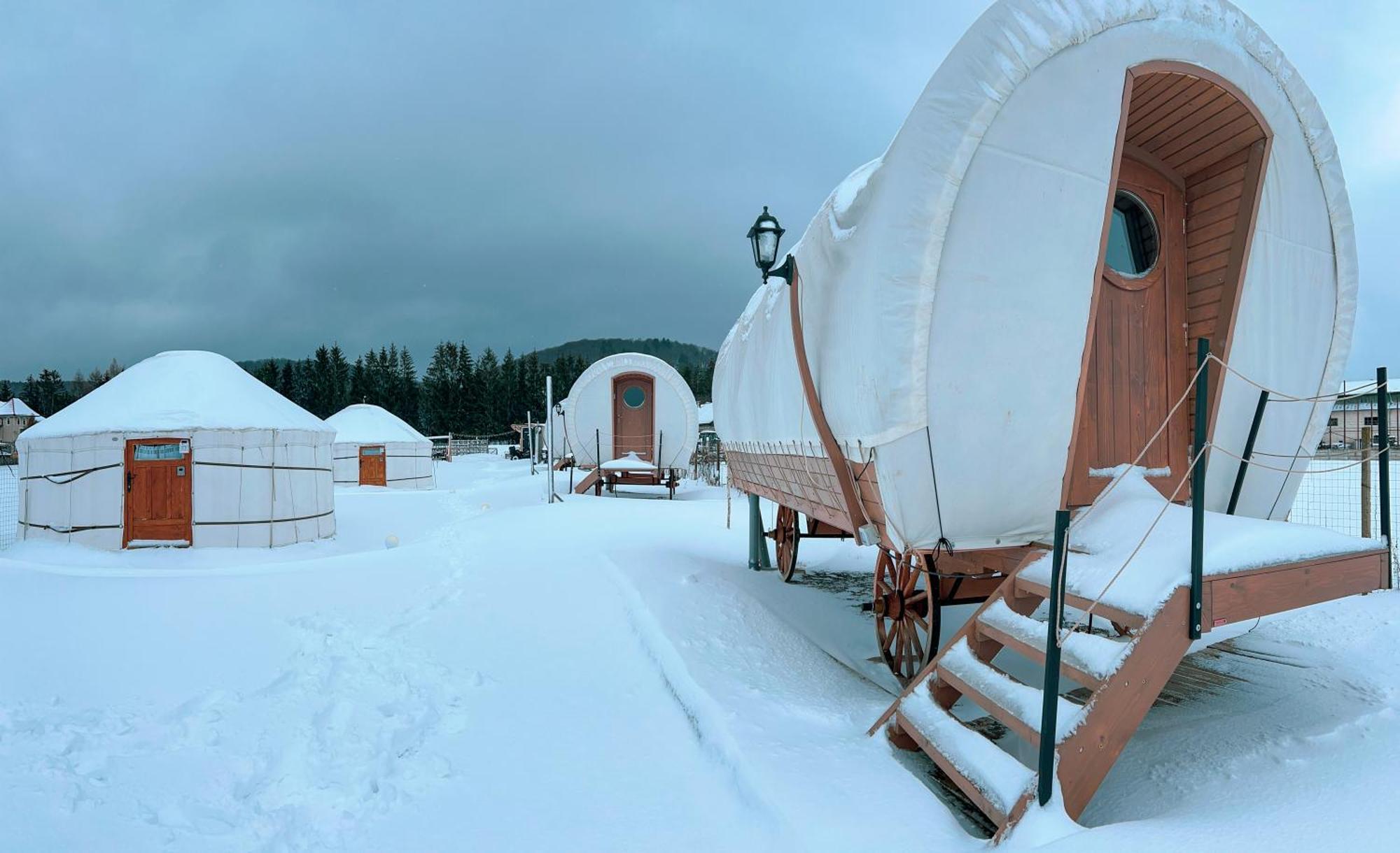 Glamping Spiritul Zimbrului 3* Vama Buzaului